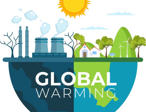 The Economic Impact of Global Warming: Industries in the Hot Seat